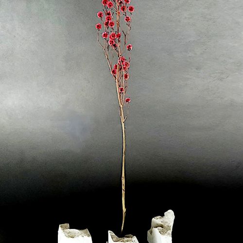 Recent works, image 5 of 21